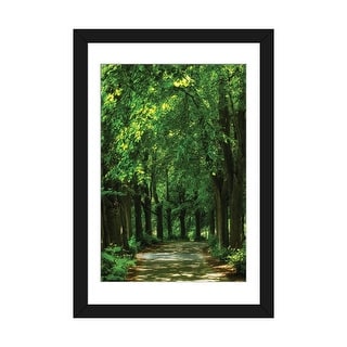 iCanvas "Magin Road - Linden Trees In Poland" by Mikolaj Gospodarek PFA ...